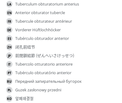 Translations