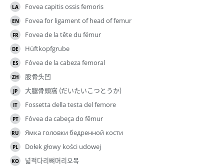 Translations