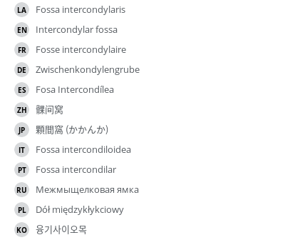 Translations