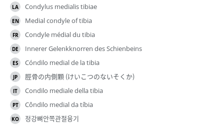 Translations