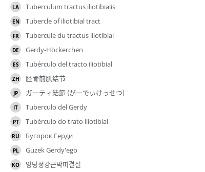Translations