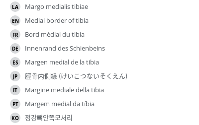Translations