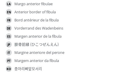 Translations