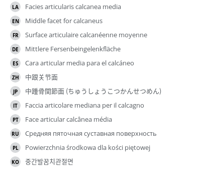 Translations