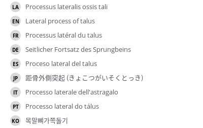 Translations