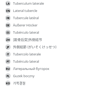 Translations