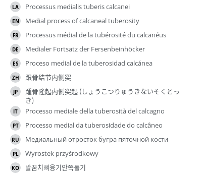 Translations