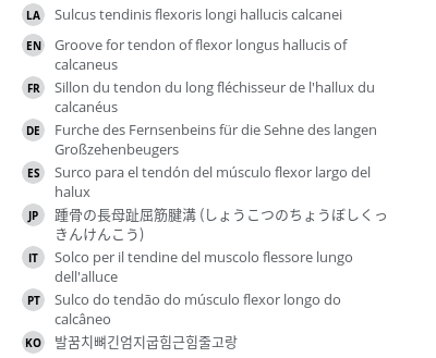Translations