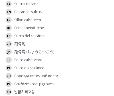 Translations