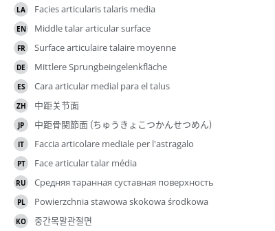 Translations