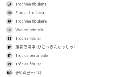 Translations