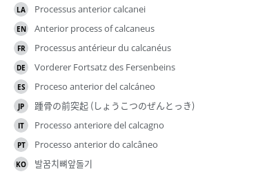 Translations