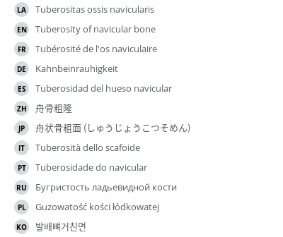 Translations