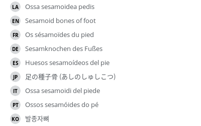 Translations