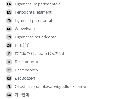 Translations