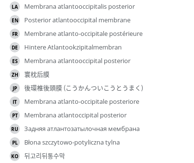 Translations