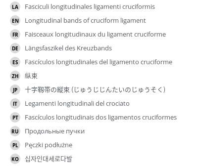 Translations