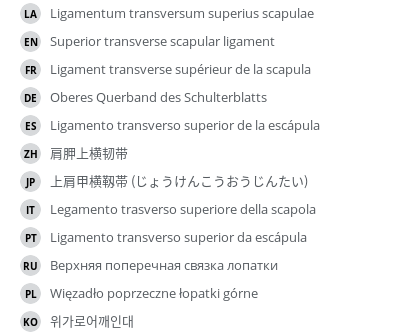 Translations
