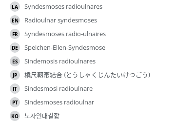 Translations