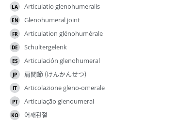 Translations