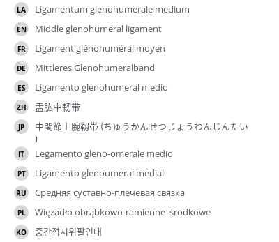 Translations