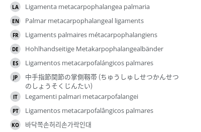 Translations