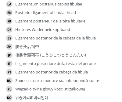 Translations