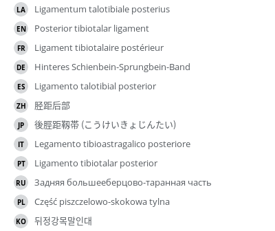 Translations