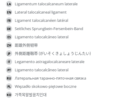 Translations