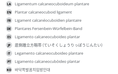 Translations