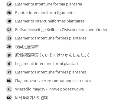 Translations
