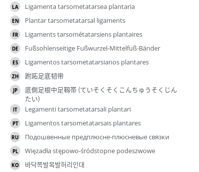 Translations