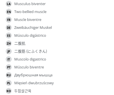 Translations