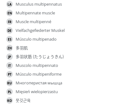 Translations