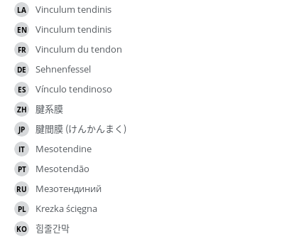 Translations