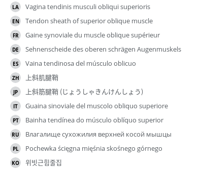 Translations