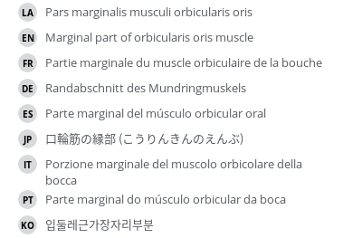 Translations