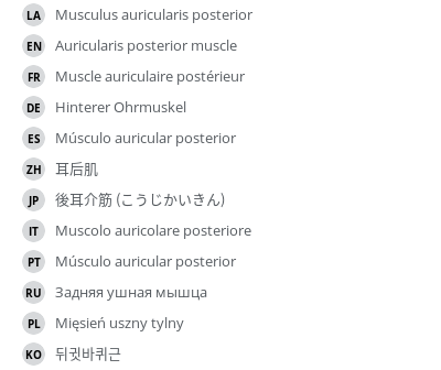 Translations
