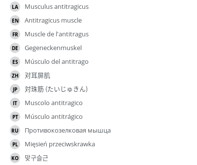 Translations