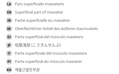 Translations