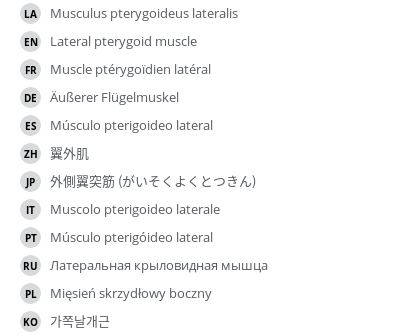 Translations