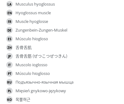 Translations