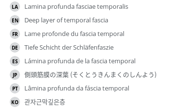 Translations