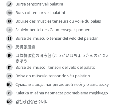 Translations