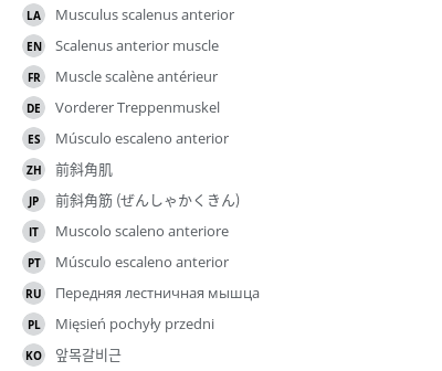 Translations