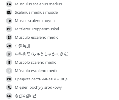 Translations