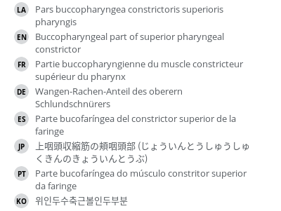 Translations
