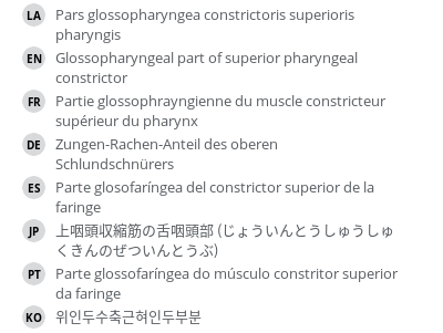 Translations