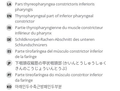 Translations