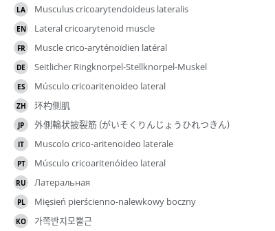 Translations